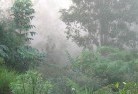 Tarriarolandscaping-irrigation-4.jpg; ?>